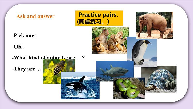 人教版新起点英语六上册Unit 3 Animal world lesson3课件+教案+练习02