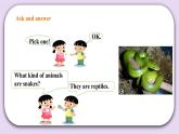 人教版新起點(diǎn)英語(yǔ)六上冊(cè)Unit 3 Animal world lesson3課件+教案+練習(xí)
