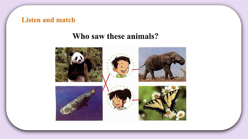 人教版新起点英语六上册Unit 3 Animal world let’s check课件+教案+练习03