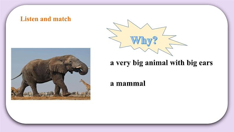 人教版新起点英语六上册Unit 3 Animal world let’s check课件+教案+练习04