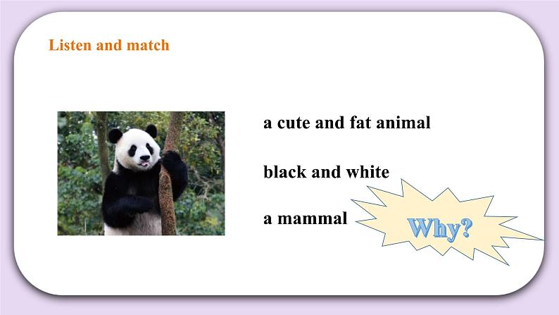 人教版新起点英语六上册Unit 3 Animal world let’s check课件+教案+练习06