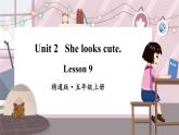 精通五英上 Unit 2 Lesson 9 PPT课件+教案