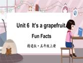 精通五英上 Unit 6 Fun Facts PPT课件+教案