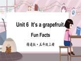 精通五英上 Unit 6 Fun Facts PPT課件+教案