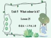 精通三英上 Unit 5 Lesson 25 PPT课件+教案