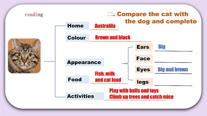 人教版新起点英语五年级上册Unit 3 Animals let’s check 课件+教案+练习07