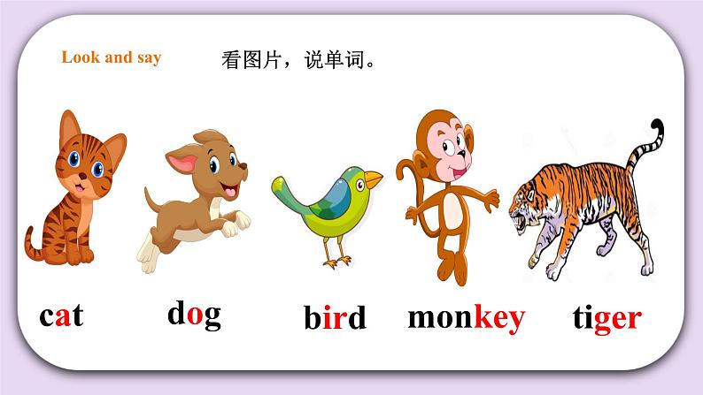 人教版新起点英语一年级上册Unit 3 Animals Lesson 2 课件+教案+习题+素材03