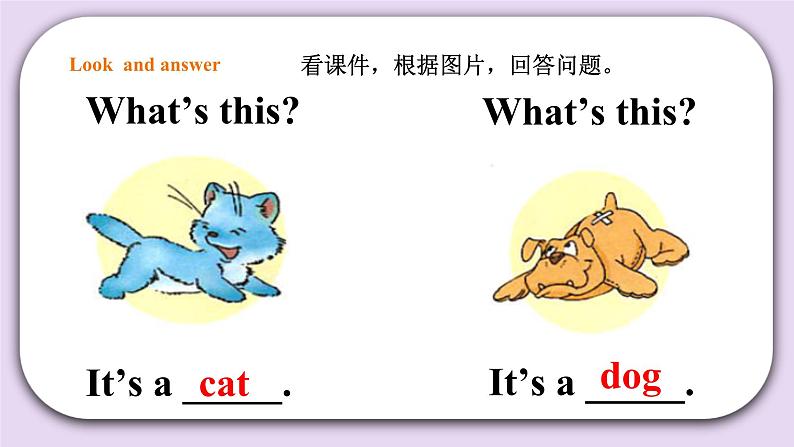 Unit 3 Animals Lesson 3 课件第7页