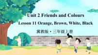 小学英语冀教版 (三年级起点)三年级上册Lesson 11 Orange, Brown, White, Black备课课件ppt