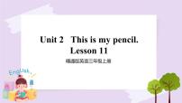 小学Lesson 11优质课ppt课件