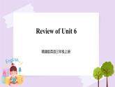 精通英语三年级上册 Unit 6   Review of Unit 6 PPT课件
