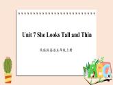 陕旅版（三起）英语五年级上册-Unit 7 She Looks Tall and Thin  Period 1  课件