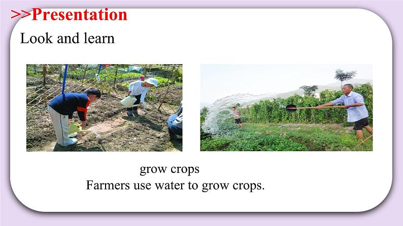 Module 4 Unit  11  Water  Period 1 课件06