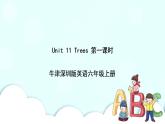 新版-牛津上海版六年级上册     Unit 11 Trees 第一课时 课件+教案+练习