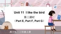 湘少版Unit 11 I like the bird背景图ppt课件