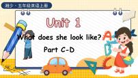 小学英语湘少版五年级上册Unit 1 What does she look like?授课ppt课件