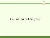 湖南少年儿童出版社小学英语三年级起点三年级上册 Unit 4 How old are you  课件