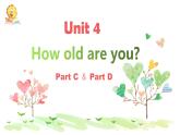 湖南少年儿童出版社小学英语三年级起点三年级上册 Unit 4 How old are you  课件3