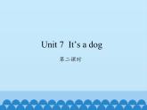 湖南少年兒童出版社小學(xué)英語三年級(jí)起點(diǎn)三年級(jí)上冊(cè) Unit 7 It's a dog   課件2
