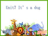 湖南少年儿童出版社小学英语三年级起点三年级上册 Unit 7 It's a dog   课件3