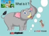 湘少版英語(yǔ)四年級(jí)上 冊(cè)   Unit 3 Look at this elephant    課件4