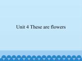 湘少版英语四年级上 册   Unit 4 These are flowers    课件
