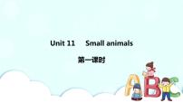 新版-牛津上海版三年级上册unit11Small animals一等奖习题课件ppt