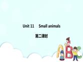 Unit 11 Small animals 第2课时 课件+教案+习题+素材