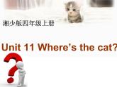 湖南少年儿童出版社小学英语三年级起点四年级上册 Unit 11 Where's the cat   课件10