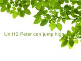 湖南少年儿童出版社小学英语三年级起点四年级上册  Unit 12 Peter can jump high  课件3