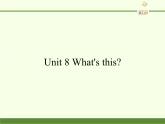 湖南少年儿童出版社小学英语三年级起点三年级上册 Unit 8 What's this   课件