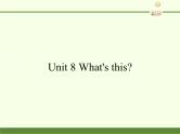 湖南少年儿童出版社小学英语三年级起点三年级上册 Unit 8 What's this   课件3