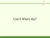 湖南少年儿童出版社小学英语三年级起点三年级上册 Unit 8 What's this   课件3