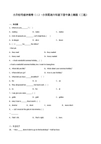 小升初考前冲刺卷（二）-小学英语六年级下册牛津上海版（三起）