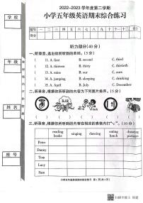 广东省惠州市2022-2023学年五年级下学期期末英语试题