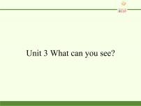 湘少版Unit 3 What can you see?备课课件ppt