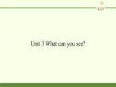 湖南少年儿童出版社小学英语三年级起点四年级下册 Unit 3 What can you see  课件2