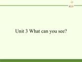 湖南少年儿童出版社小学英语三年级起点四年级下册 Unit 3 What can you see  课件4