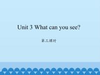 小学英语湘少版四年级下册Unit 3 What can you see?集体备课课件ppt