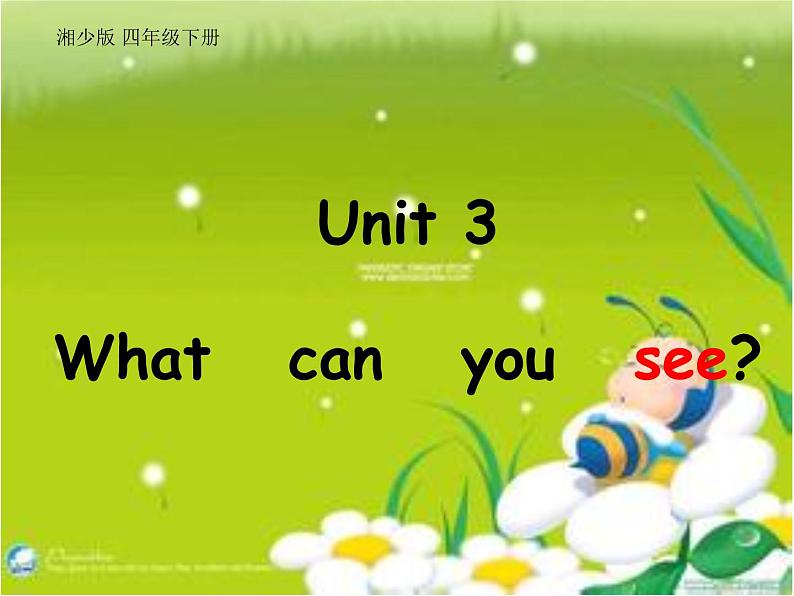 湖南少年儿童出版社小学英语三年级起点四年级下册 Unit 3 What can you see  课件6第1页