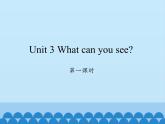 湖南少年儿童出版社小学英语三年级起点四年级下册 Unit 3 What can you see  课件