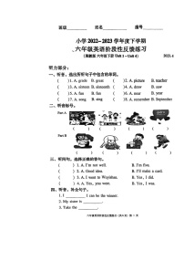 河南省许昌市鄢陵县育才私立学校2022-2023学年六年级下学期期中英语阶段性反馈练习