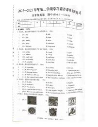 广东省深圳市宝安区松岗实验学校2022-2023学年五年级下学期期中考试英语试题