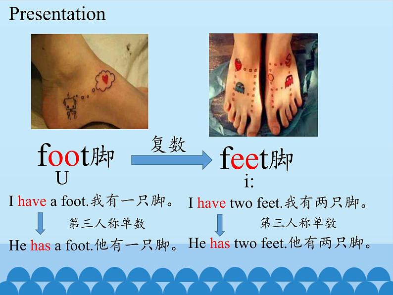 湖南少年儿童出版社小学英语三年级起点四年级下册 Unit 10 He has two feet   课件05