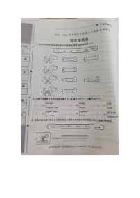 河南省开封市龙亭区开封市东郊回族小学2022-2023学年四年级下学期期中英语阶段性作业