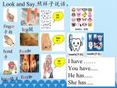 湖南少年兒童出版社小學(xué)英語(yǔ)三年級(jí)起點(diǎn)四年級(jí)下冊(cè) Unit 11 Do you have a ticket   課件1