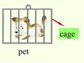 湖南少年兒童出版社小學(xué)英語三年級起點五年級上冊 Unit 5 Can I have a pet   課件