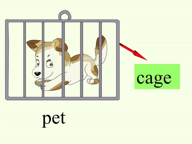 湖南少年儿童出版社小学英语三年级起点五年级上册 Unit 5 Can I have a pet   课件03