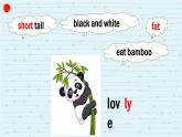 湖南少年兒童出版社小學(xué)英語三年級起點五年級上冊 Unit 5 Can I have a pet   課件3