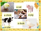 湖南少年兒童出版社小學(xué)英語三年級起點五年級上冊 Unit 5 Can I have a pet   課件4